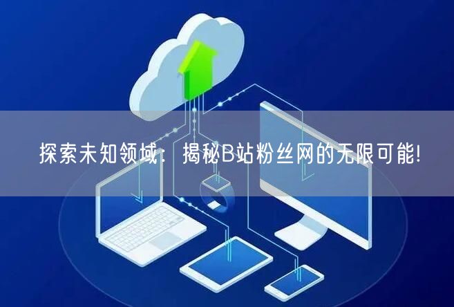 探索未知领域:揭秘B站粉丝网的无限可能!